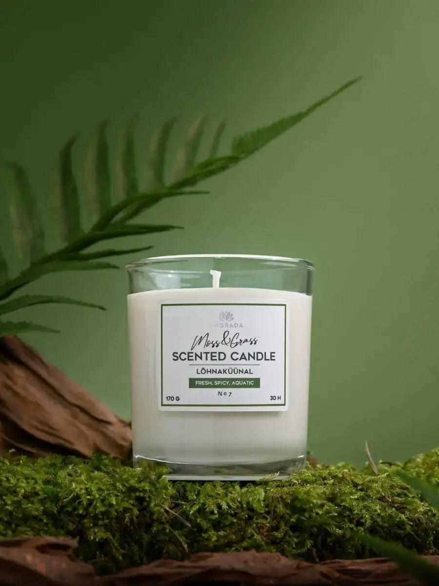 Limitierte vegane Duftkerze – Handgemachte Eleganz für Dein Zuhause - by SteinKunstWerk | DS aus nachhaltiger Herstellung