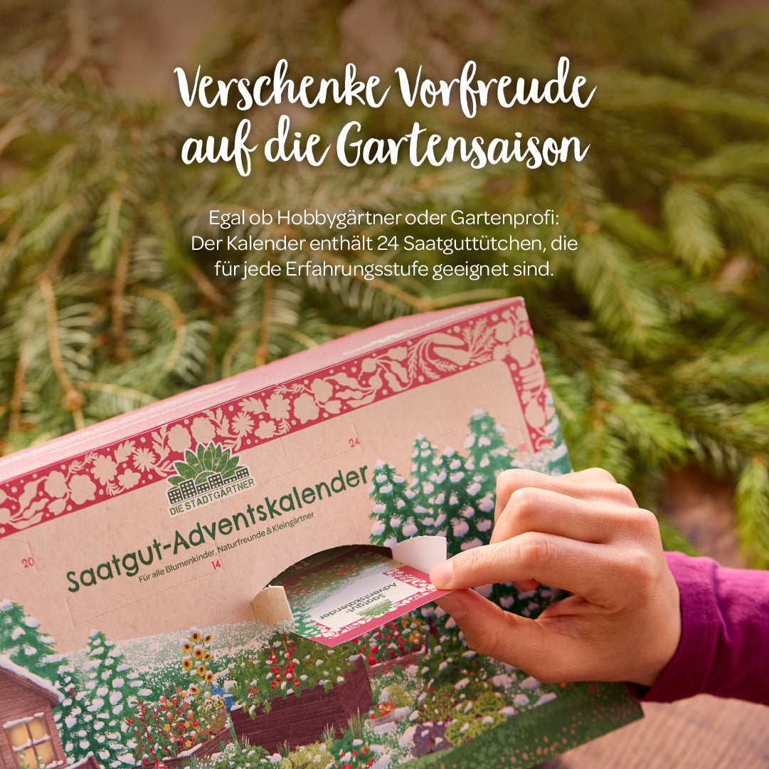 Saatgut-Adventskalender mit Informationen zu Saatgut und Anwendung