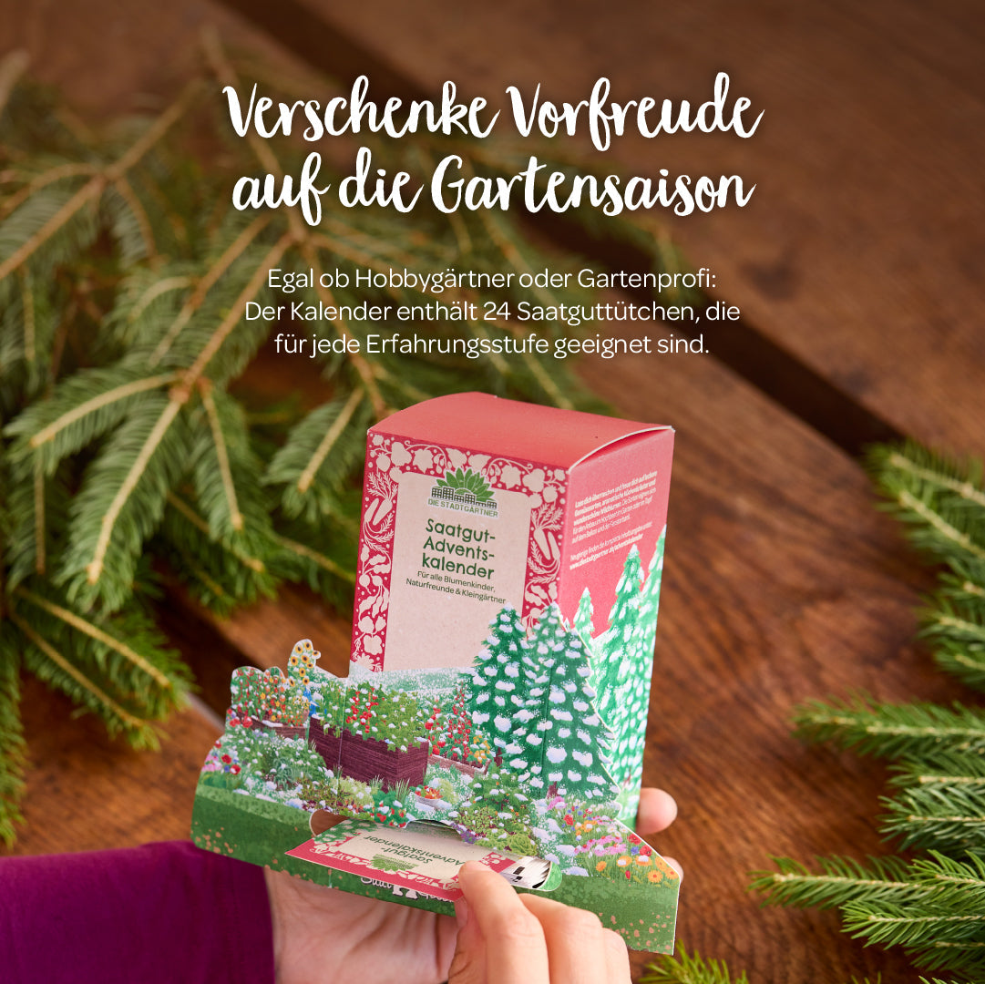 Saatgut-Adventskalender Winterlandschaft mit Informationen zu Inhalt und Anwendung