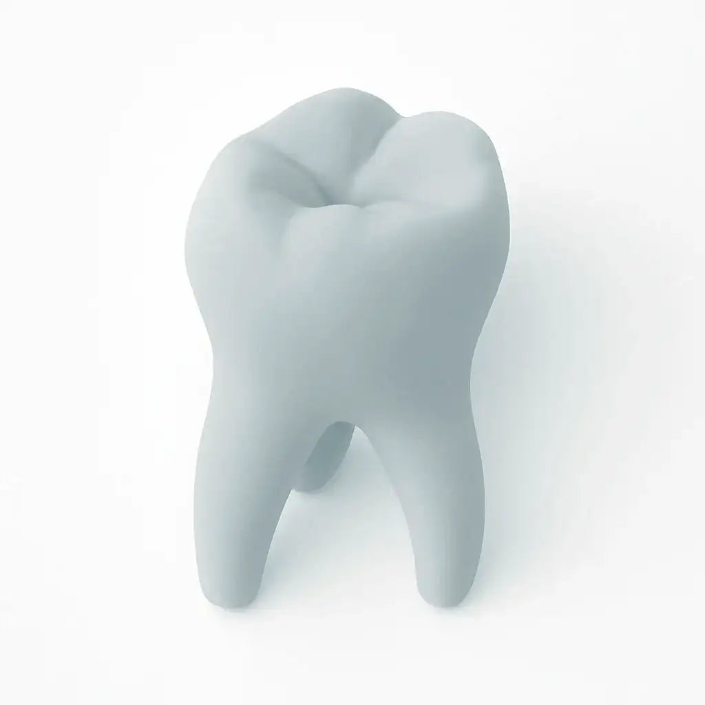 Handgefertigtes Zahnmodell – Die stilvolle Dekoration für Zahnarztpraxis & perfekte Geschenkidee - by SteinKunstWerk | Deko aus nachhaltiger Herstellung