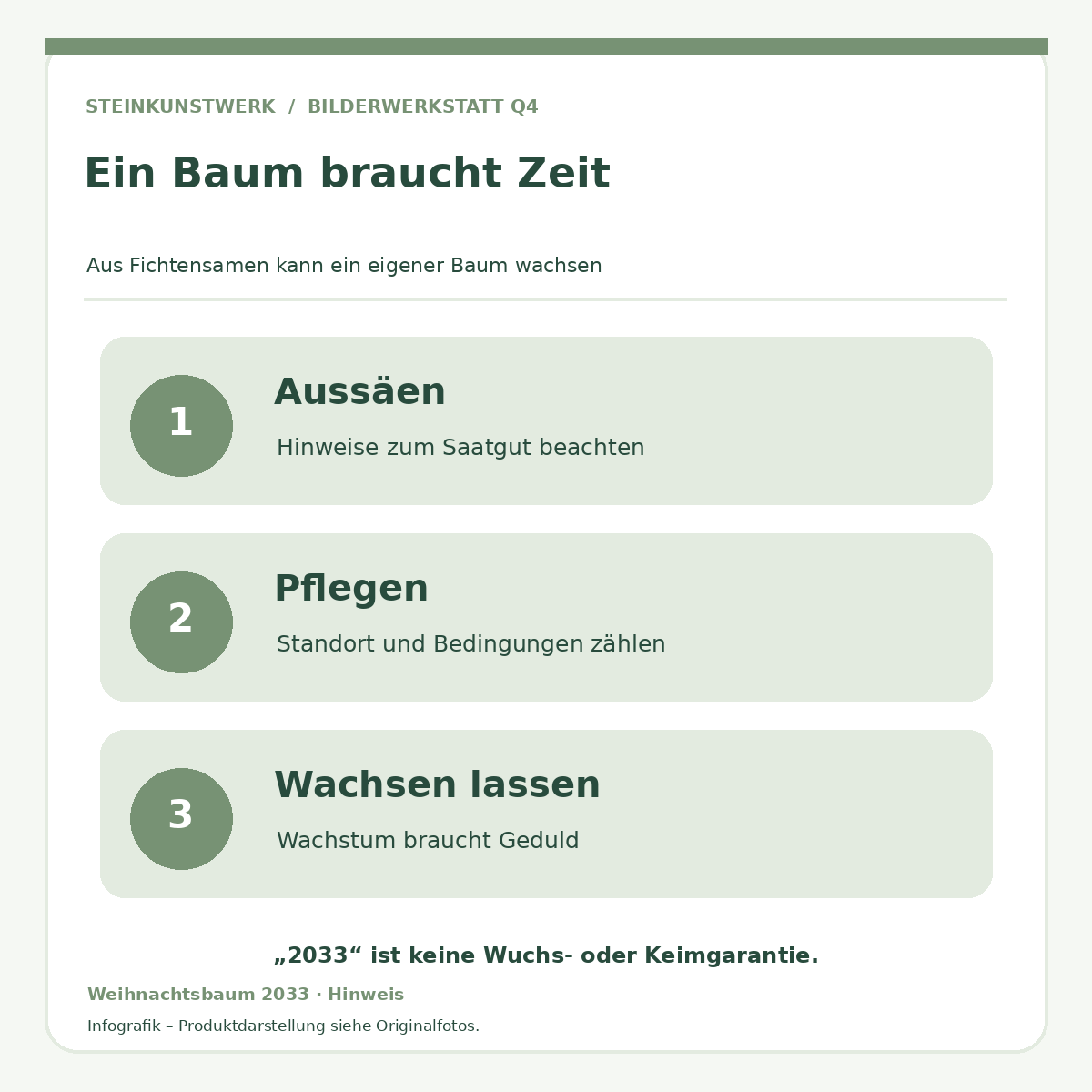 Fichten-Saatgut Weihnachten 2033 – Anzuchtidee ohne Wuchsgarantie