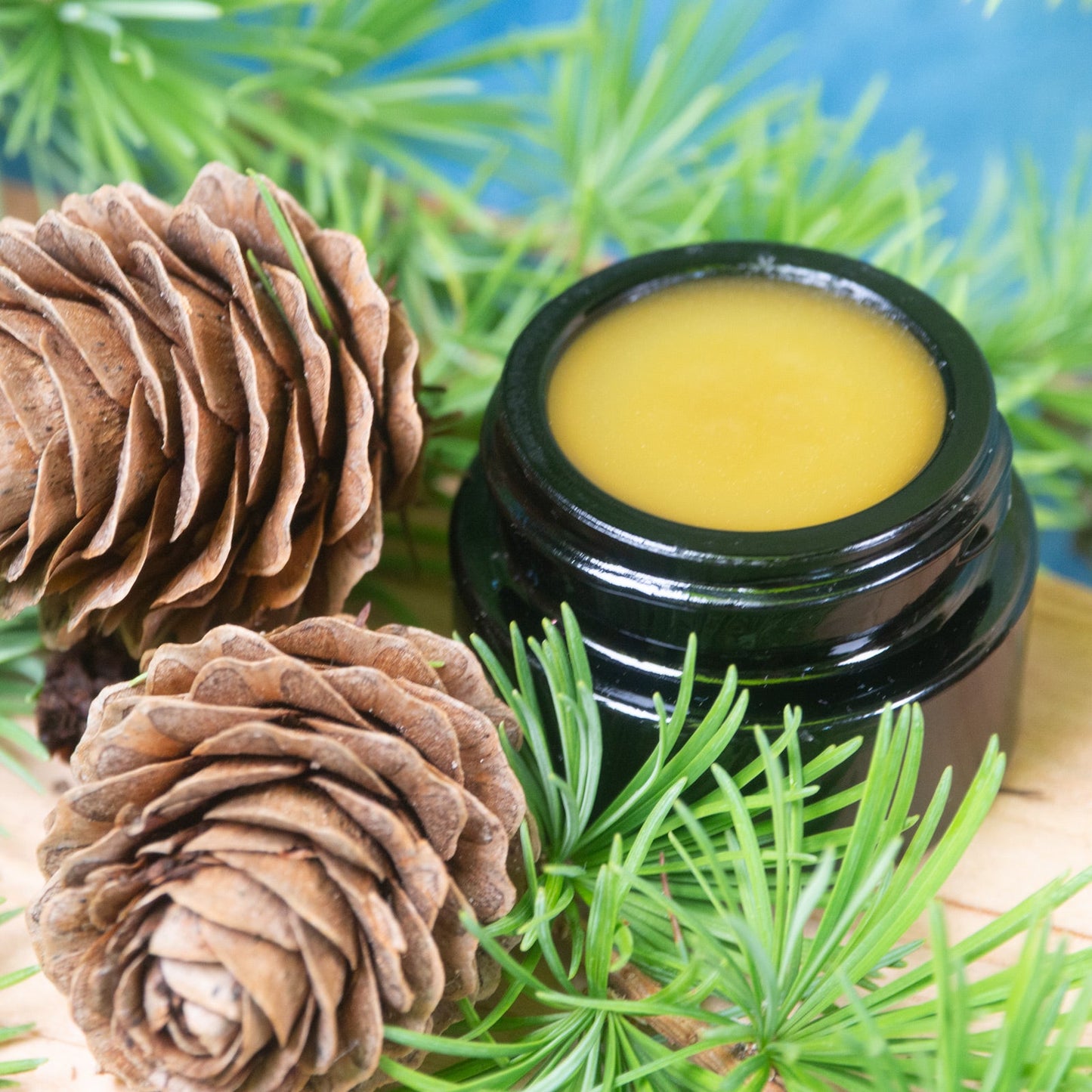 Lärchenharzbalsam – Produktansicht