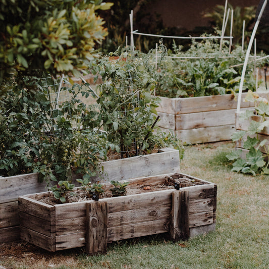 Gardening Collection – Ev için Ferah Bahçe Kokulu Mum