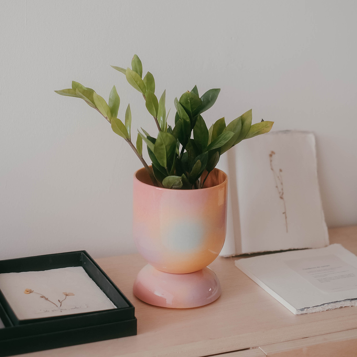 Euphoria handgegoten plantenpot met schotel voor kleine kamerplanten