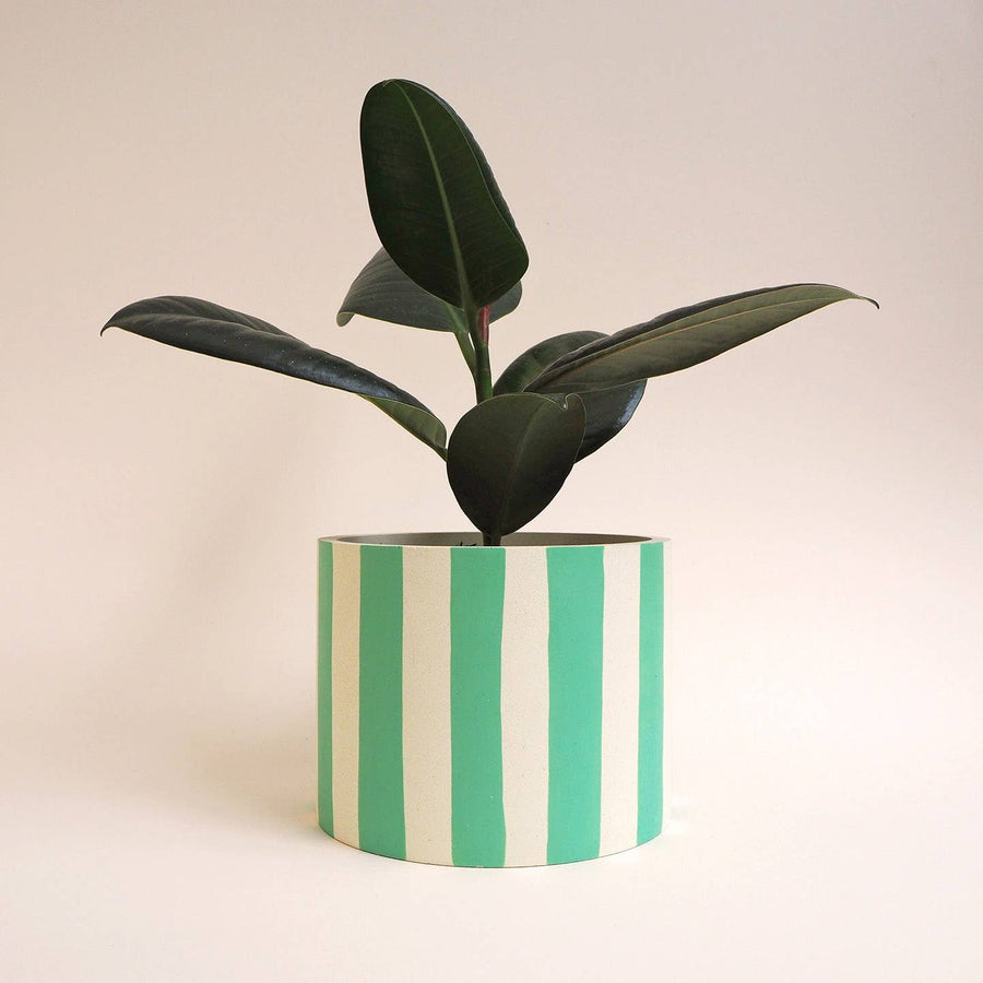 Mint Stripes Jesmonite-Pflanzgefäß