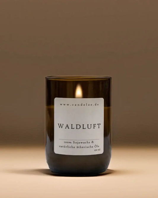 Waldluft Duftkerze – Natürlichkeit, die du atmen kannst