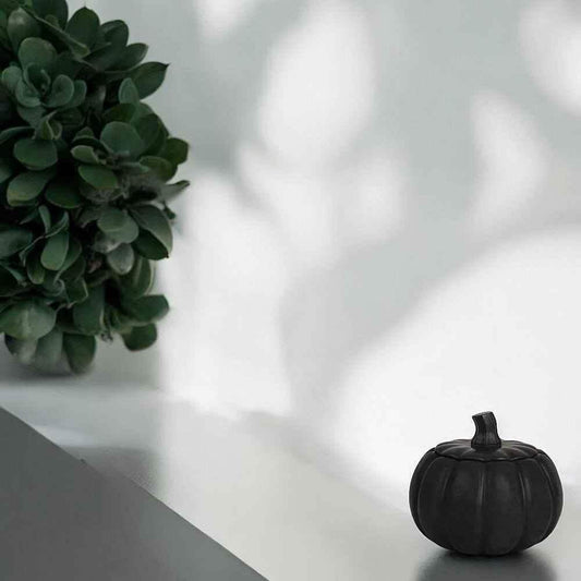 Erntedank und Herbstmärkte in NRW 2026 – Kürbisdeko und herbstliche Marktinspiration