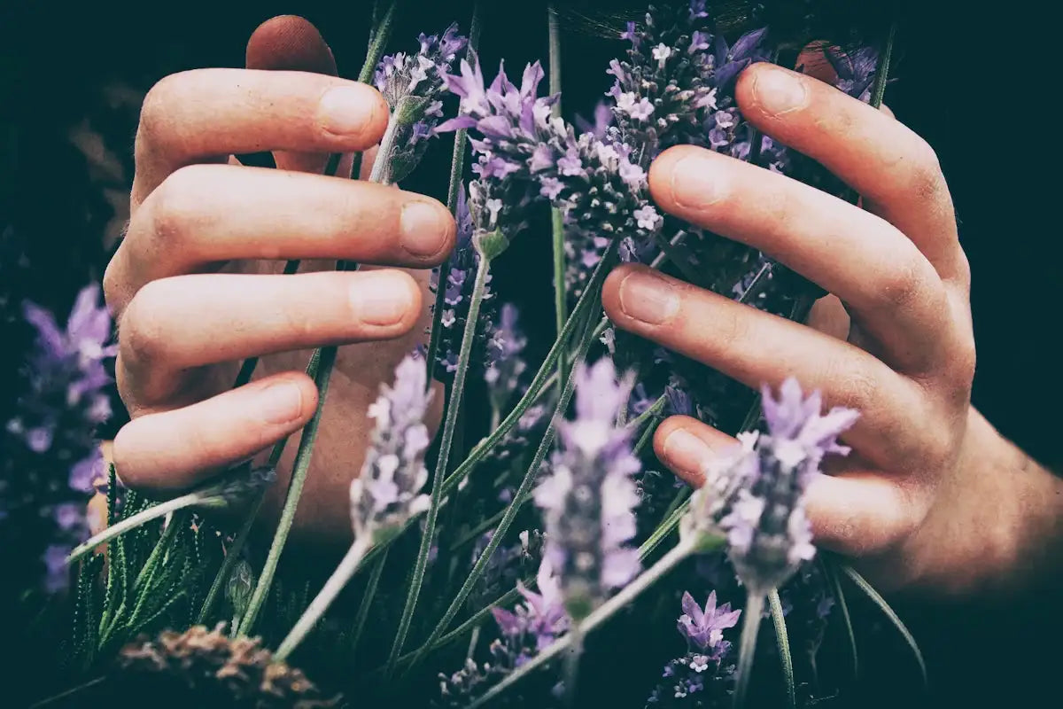 Aromatherapie für innere Ruhe und Geborgenheit