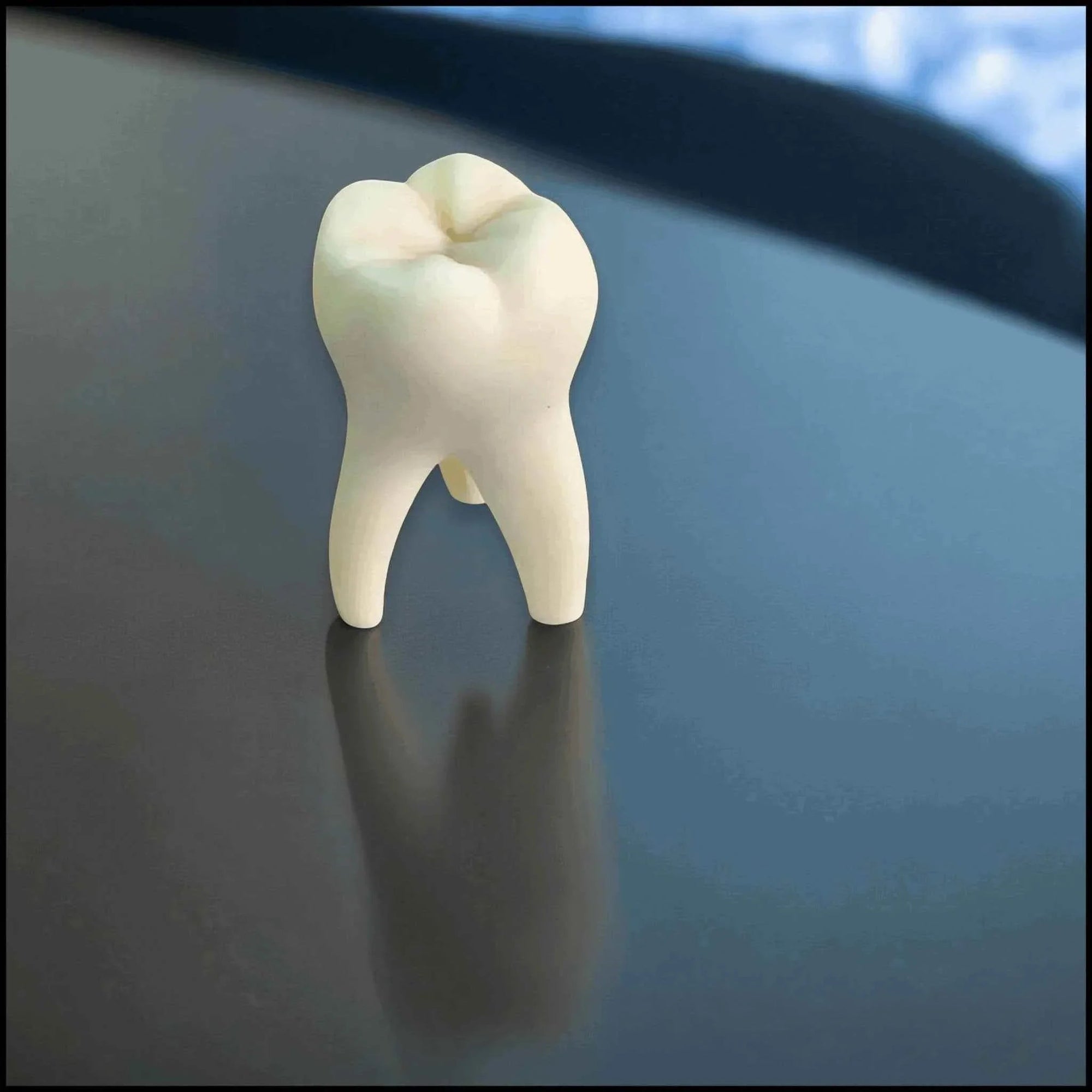 🦷 Stil trifft Symbolik: Handgefertigtes Zahnmodell als Deko & Geschenk - SteinKunstWerk