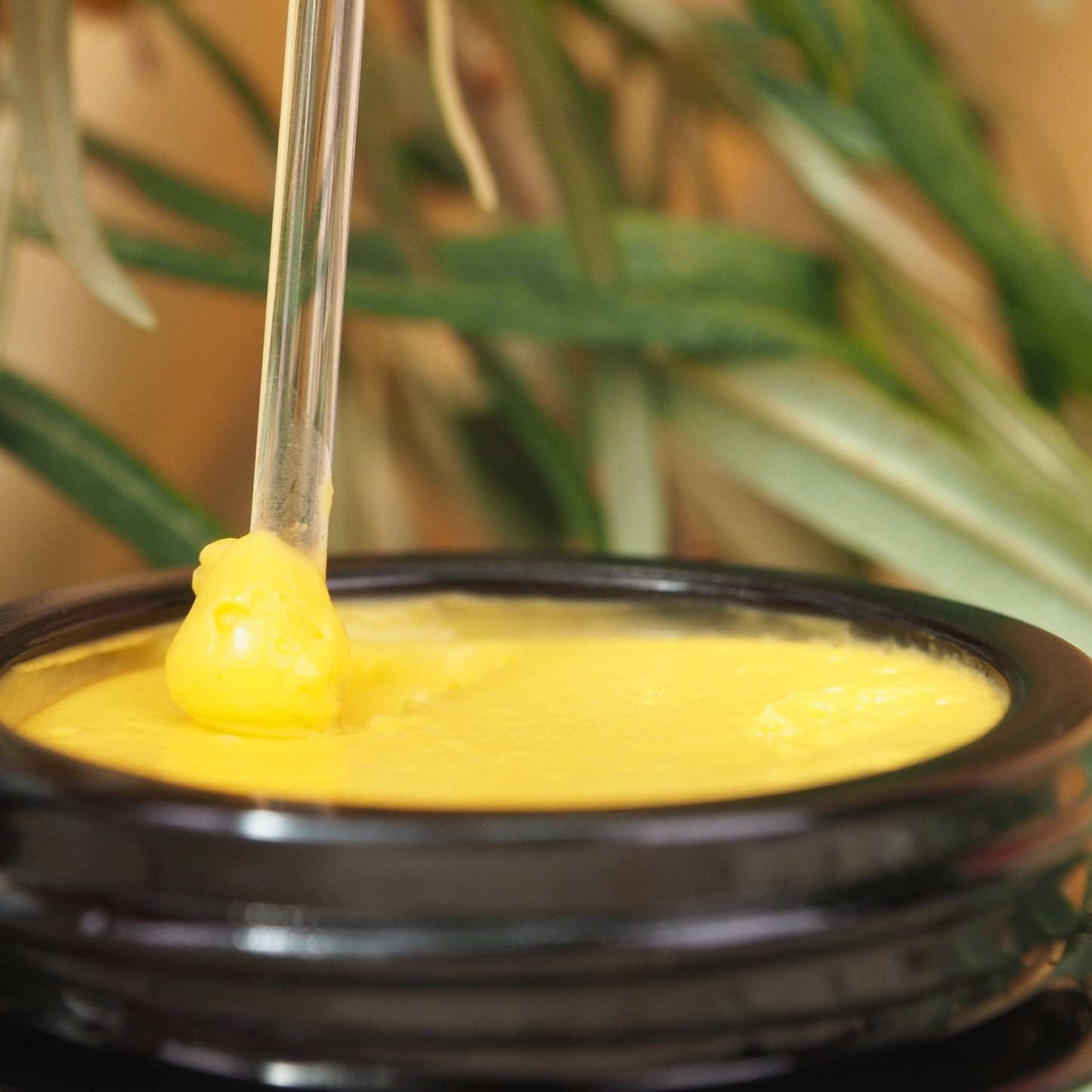Sanddorn Creme von Maienfelser Naturkosmetik