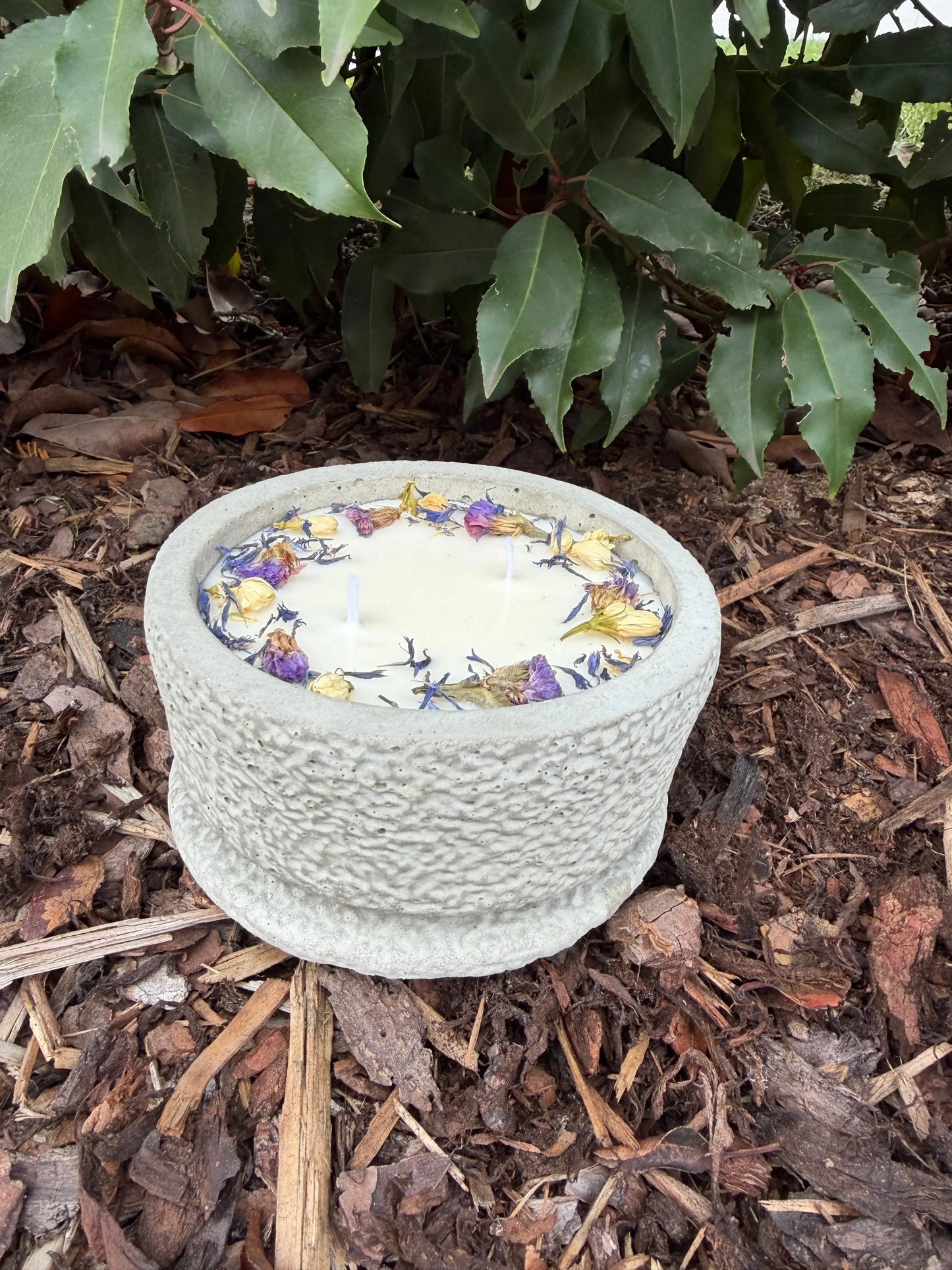 Betonkerze mit Deckel "Grey Dream" – 2-Docht & blaue Blüten | 12,5cm