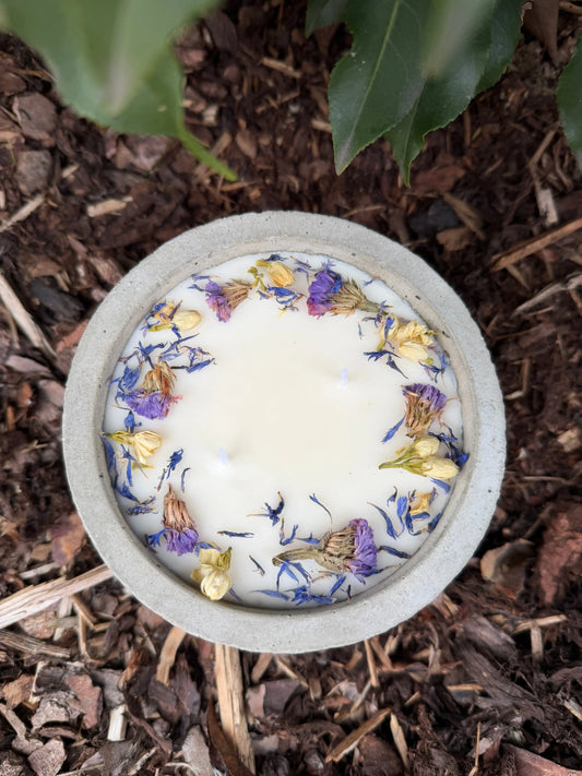 Betonkerze mit Deckel "Grey Dream" – 2-Docht & blaue Blüten | 12,5cm