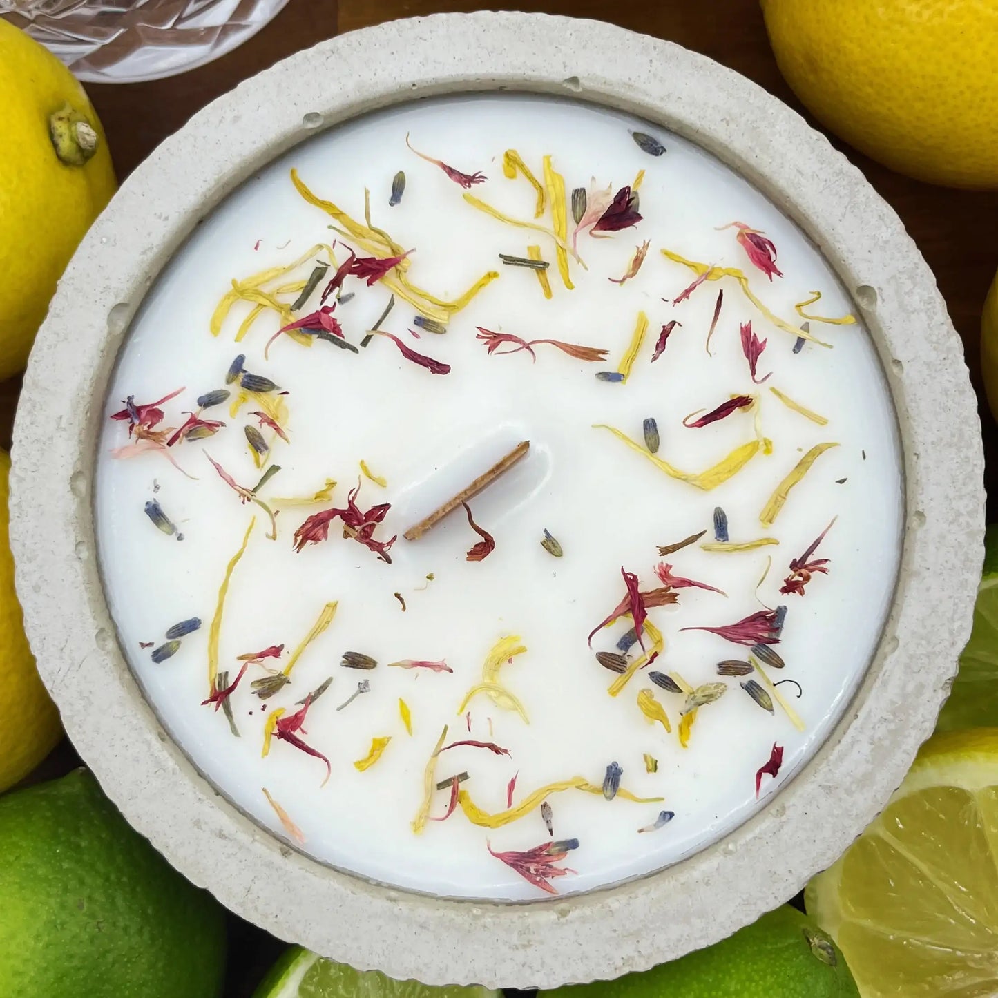 Citronella-Betonkerze „Mugge Schreck“ – Handgemachte Outdoor-Kerze mit natürlichem Insektenschutz - by SteinKunstWerk | Outdoor aus nachhaltiger Herstellung