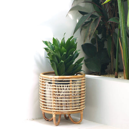 Pflanzenständer MALANG – Rattan