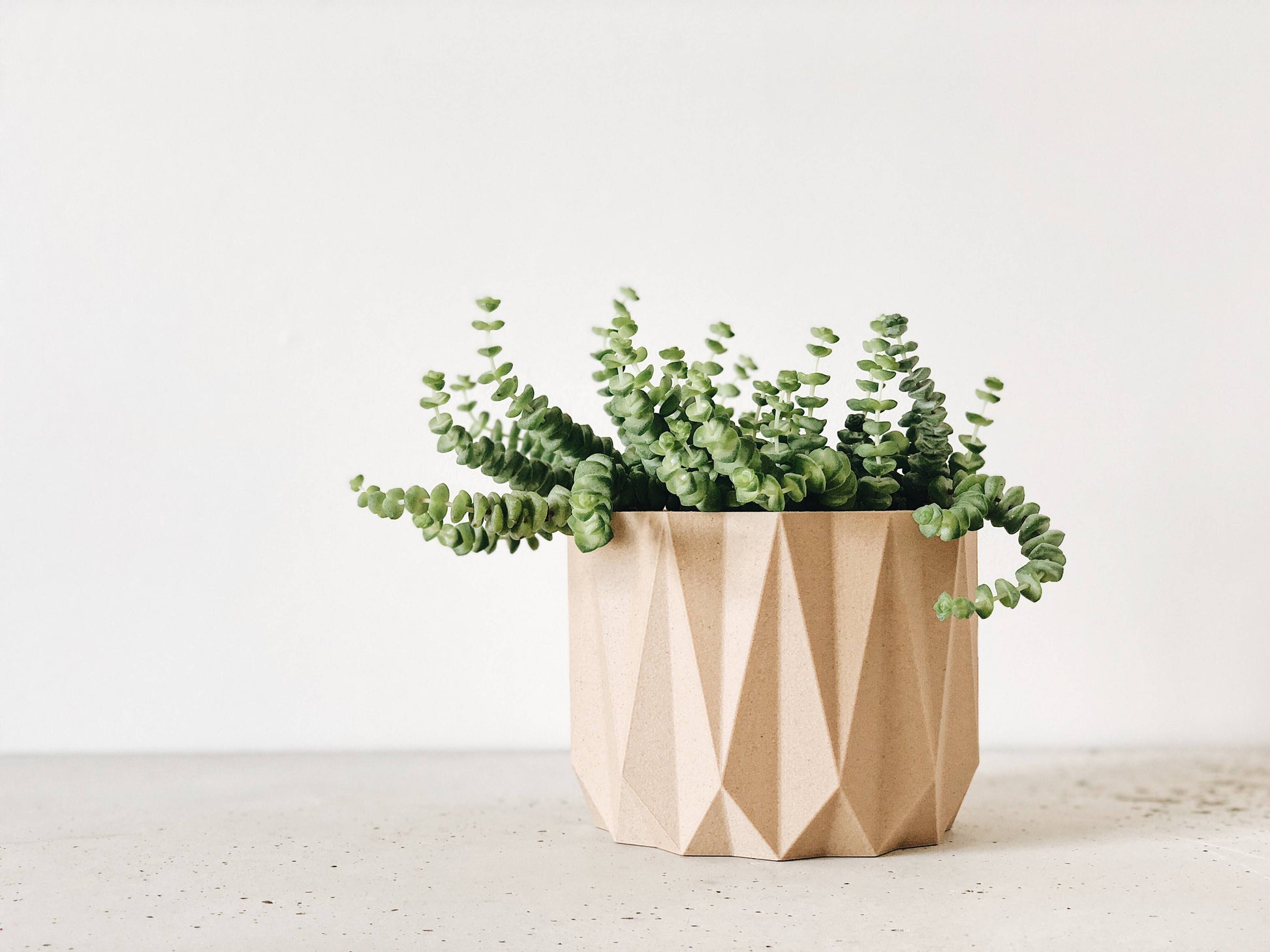 Origami Indoor-Pflanzgefäß – zusätzliche Produktansicht 5