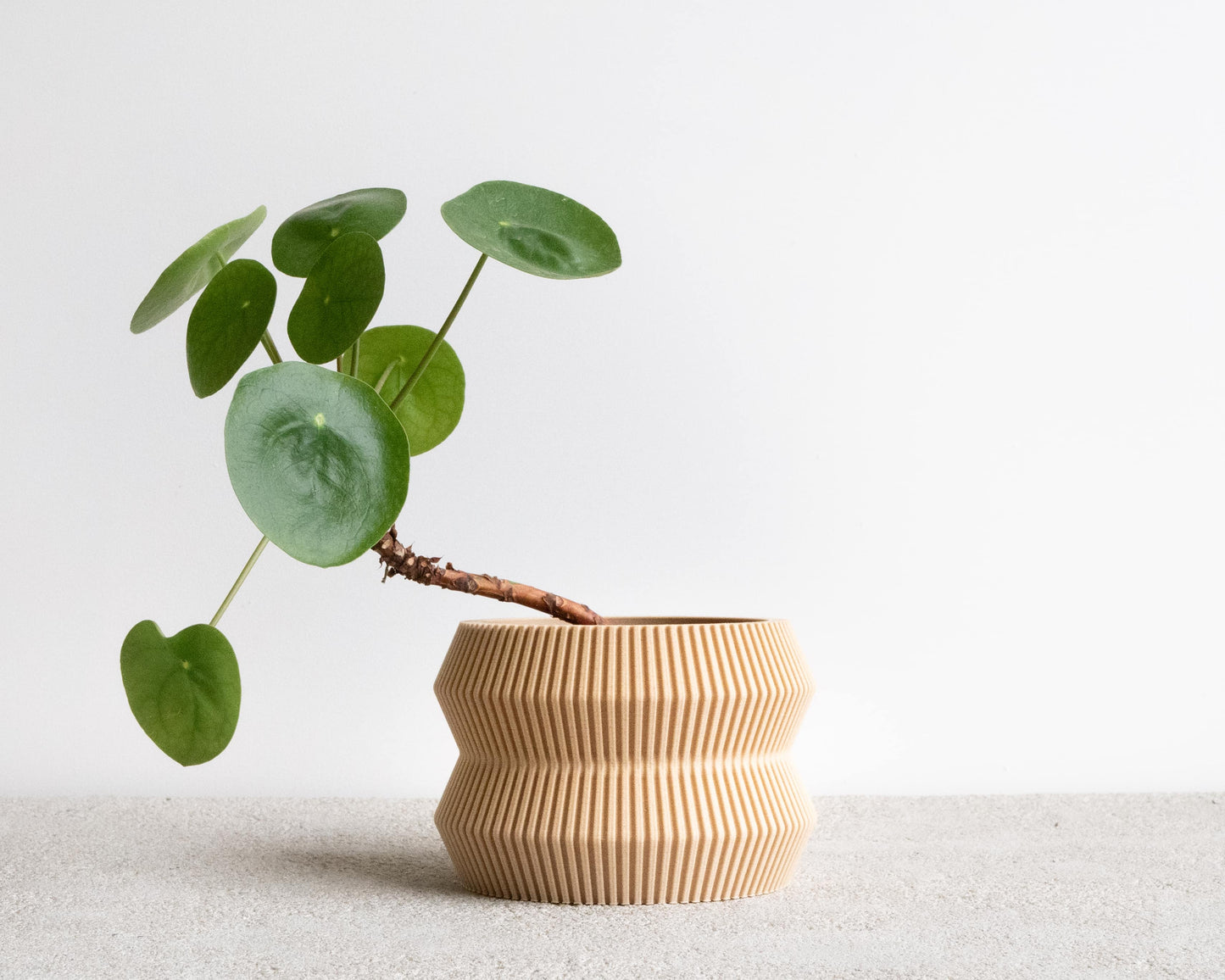 ITO Indoor-Pflanzgefäß – skulpturales Design