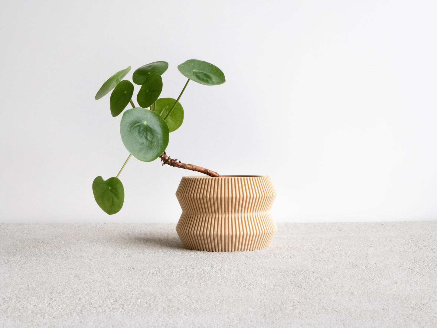 ITO Indoor-Pflanzgefäß – skulpturales Design