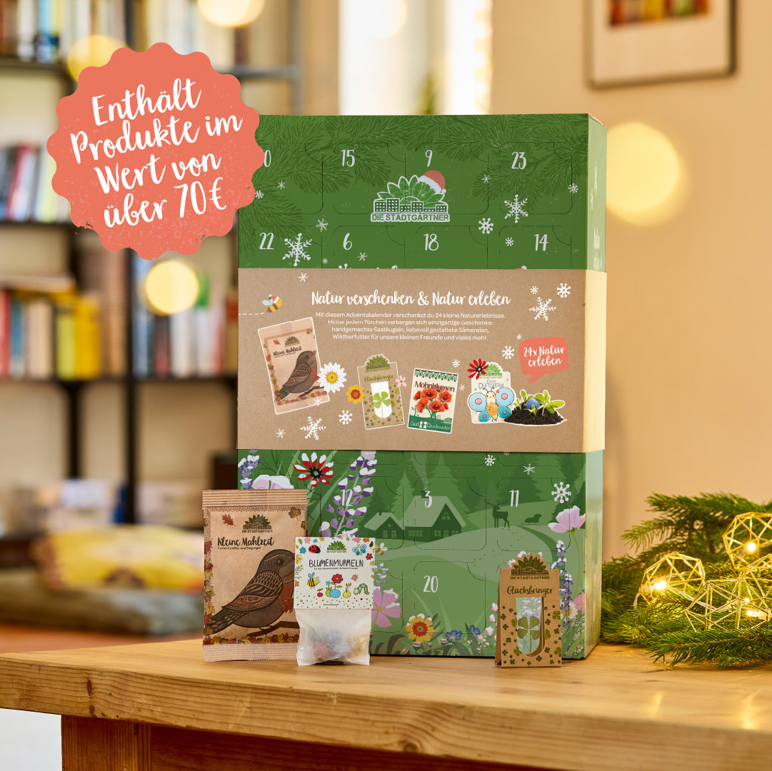 Adventskalender Naturerlebnis in weihnachtlicher Szene