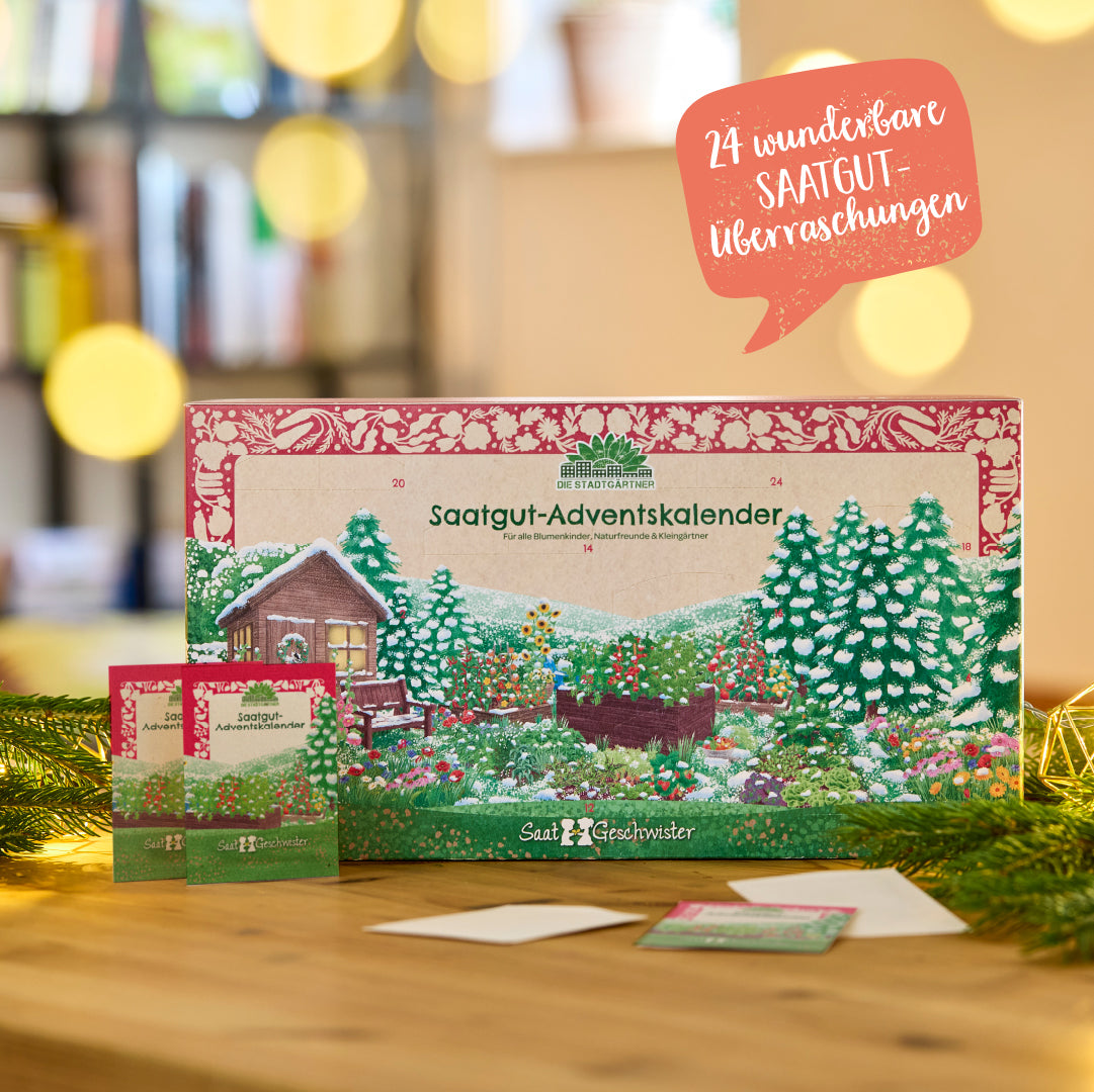Saatgut-Adventskalender als Weihnachtsgeschenk für Pflanzen- und Gartenfreunde