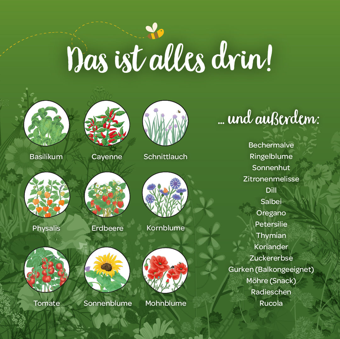 Inhalt des Saatgut-Adventskalenders mit 24 Saatgut-Überraschungen