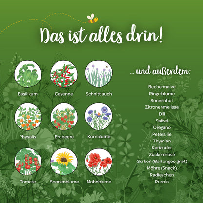 Inhalt des Saatgut-Adventskalenders mit 24 Saatgut-Überraschungen