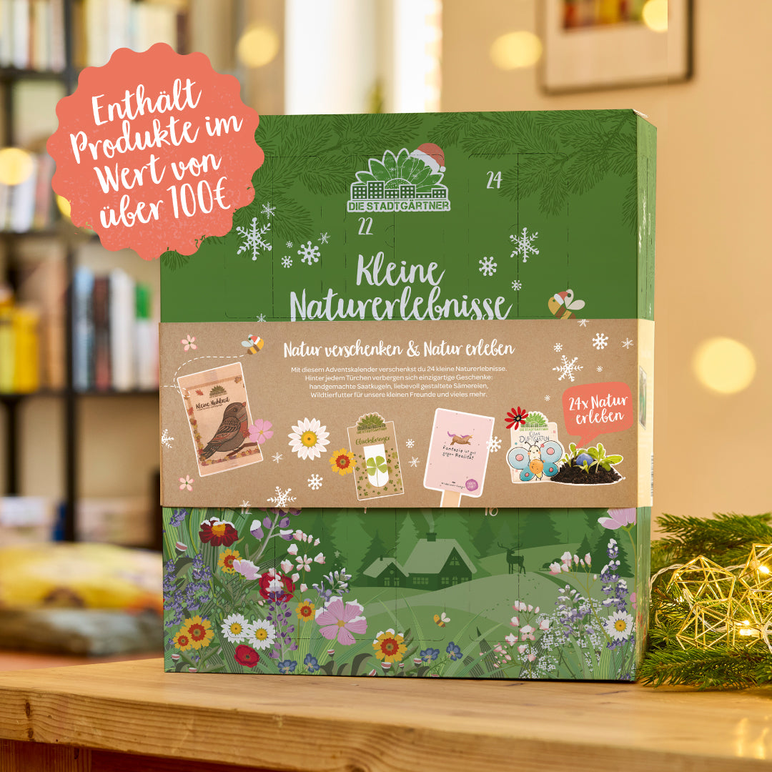 Adventskalender 2026 als hochwertiges Weihnachtsgeschenk
