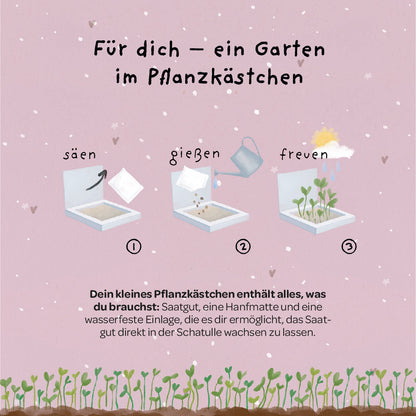 Pflanzkästchen „Danke fürs Wachsen“ – Pflanzanleitung