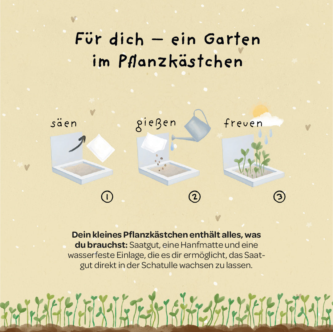 Pflanzkästchen „Unentbeerlich“ – Pflanzanleitung