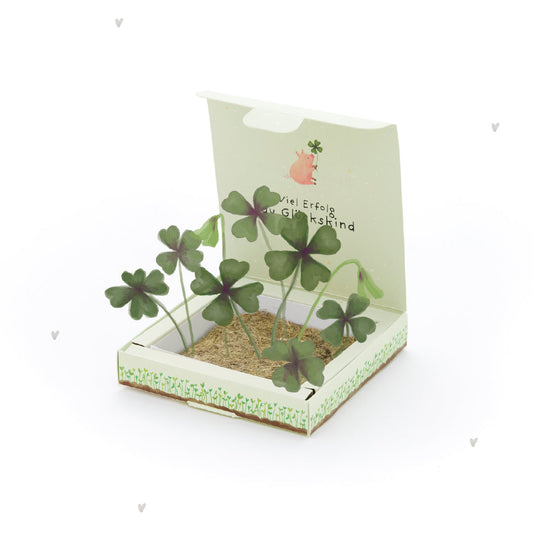 Pflanzkästchen „Viel Erfolg, Glückskind“ – freigestellte Geschenkansicht