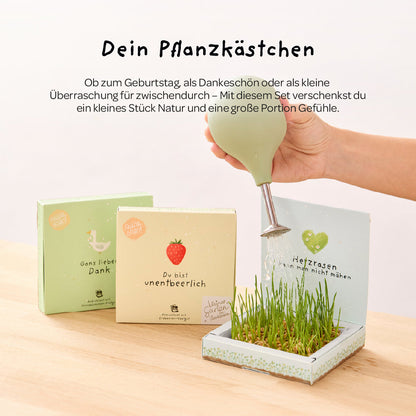 Pflanzkästchen „Viel Erfolg, Glückskind“ – Geschenkidee und Inhalt