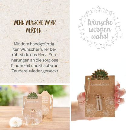 Inhalt des 3er-Sets für den Adventskalender von Die Stadtgärtner