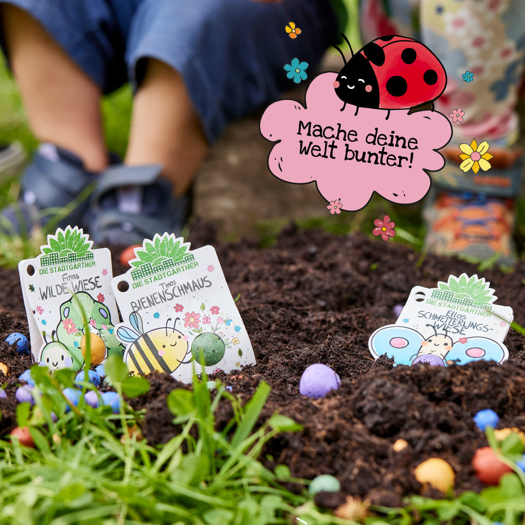 3 Blumenmurmeln – bunte Saatkugeln mit Wildblumen