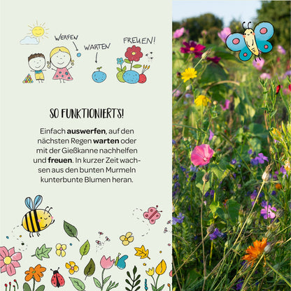 3 Blumenmurmeln – bunte Saatkugeln mit Wildblumen