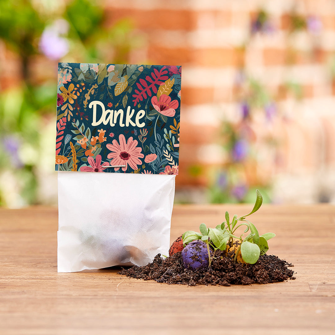 50 Blumenmurmeln „Danke“ – 10 Tütchen à 5 Saatkugeln