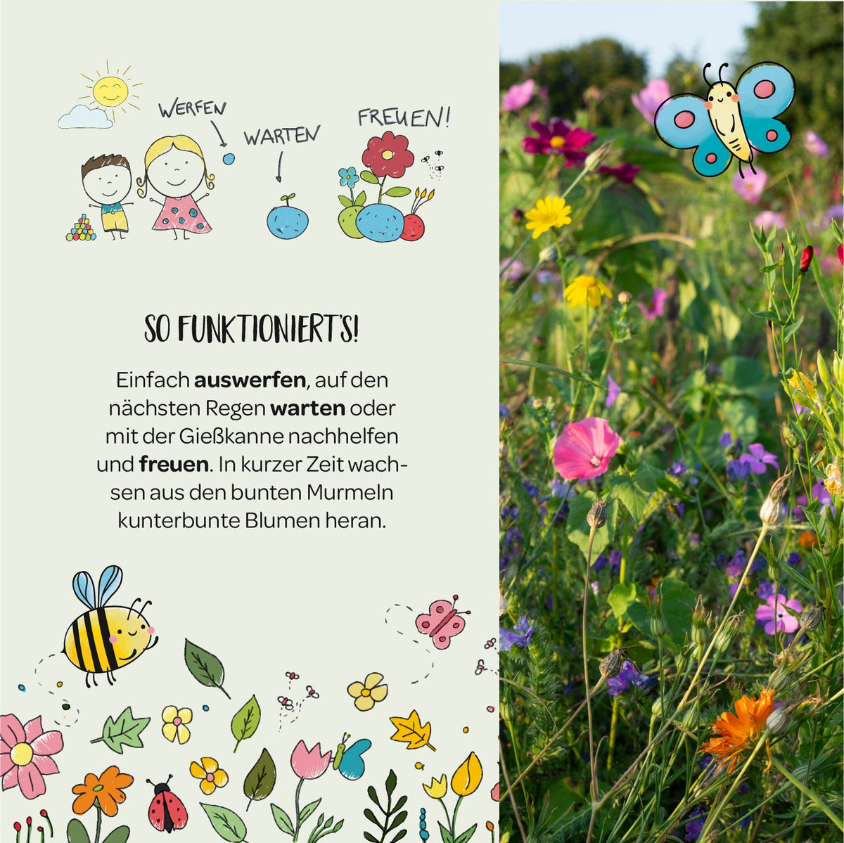 6 Osterblumen-Saatkugeln im Mini-Eierkarton – Anwendungs- und Aussaatinformation