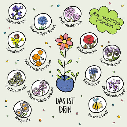 Blumenmurmeln Schneekugel – Saatkugeln mit Wildblumensaatgut