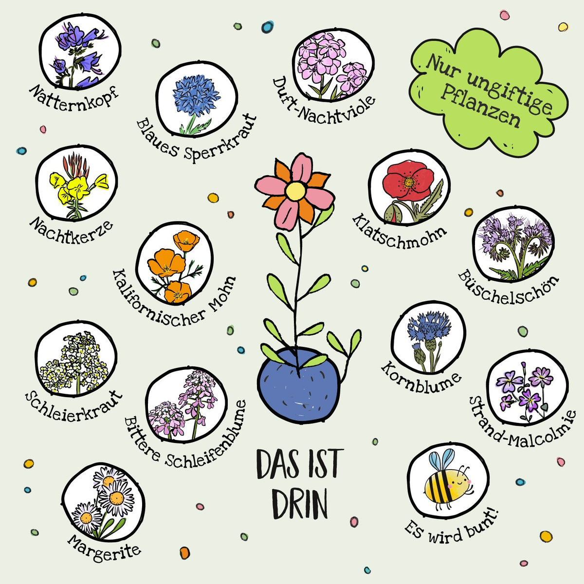 Bunte Blumenmurmeln mit Wildblumen-Saatgutmischung für Garten und Balkon