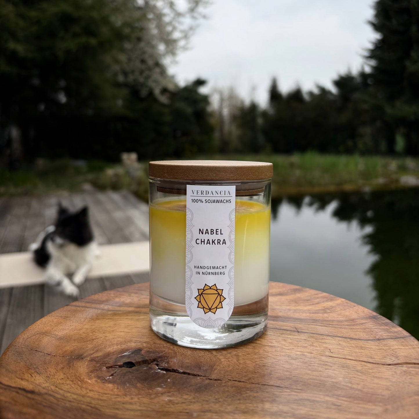 Solar Plexus Scented Candle – Clarity, Strength & Focus