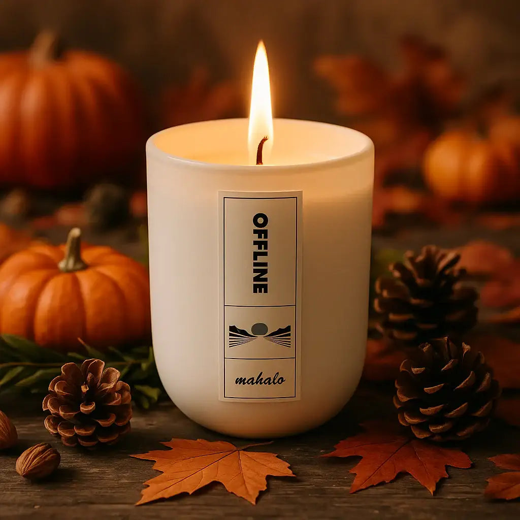 Offline – Deine Duftkerze für besondere Momente - by SteinKunstWerk | Duftkerze aus nachhaltiger Herstellung