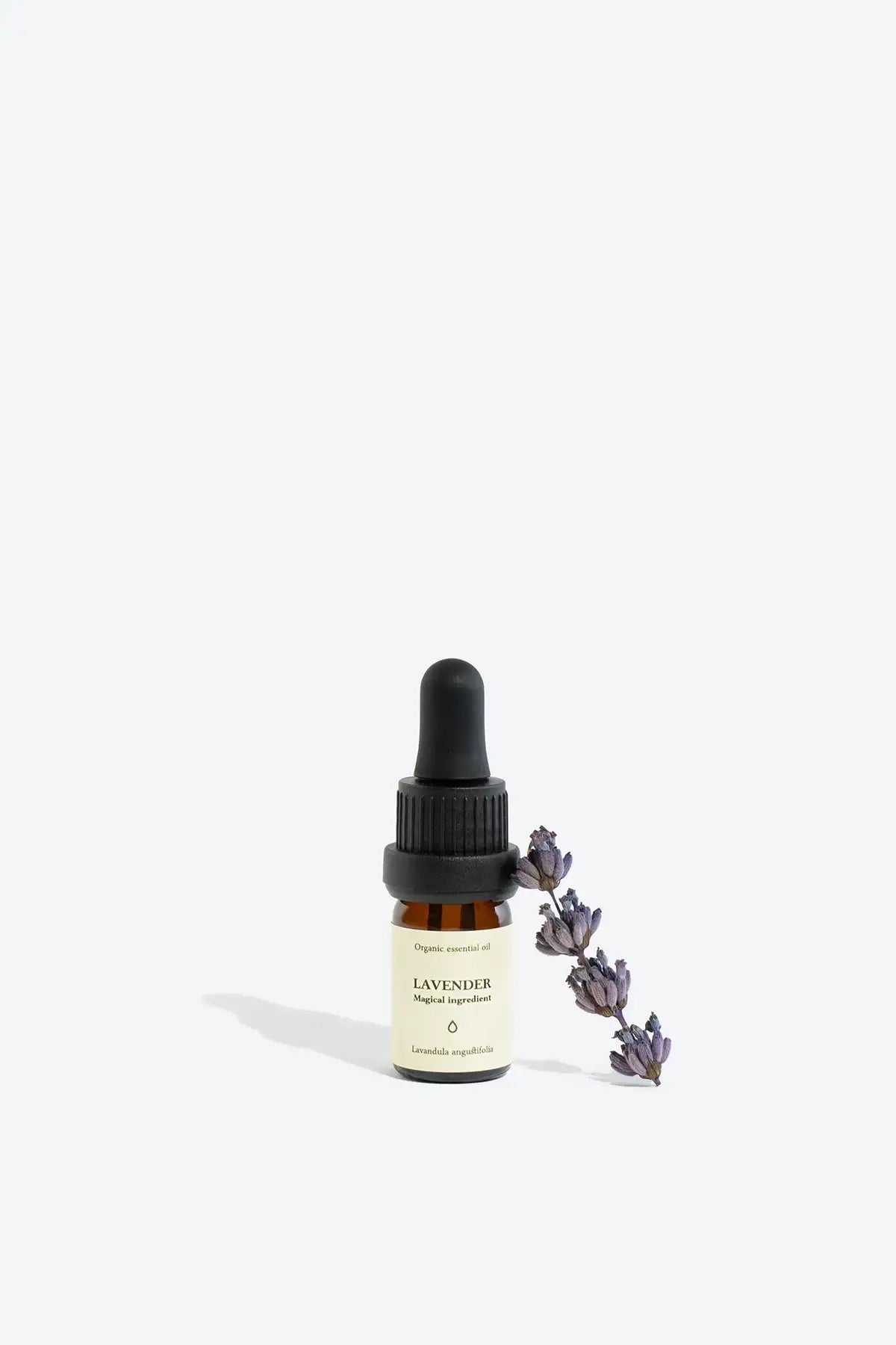 LAVENDER Essential Oil - by SteinKunstWerk | aus nachhaltiger Herstellung