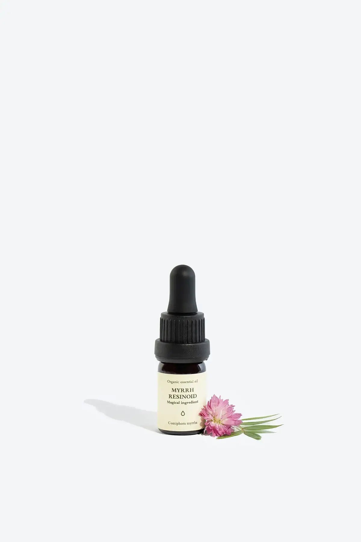 MYRRH RESINOID Essential Oil - by SteinKunstWerk | aus nachhaltiger Herstellung