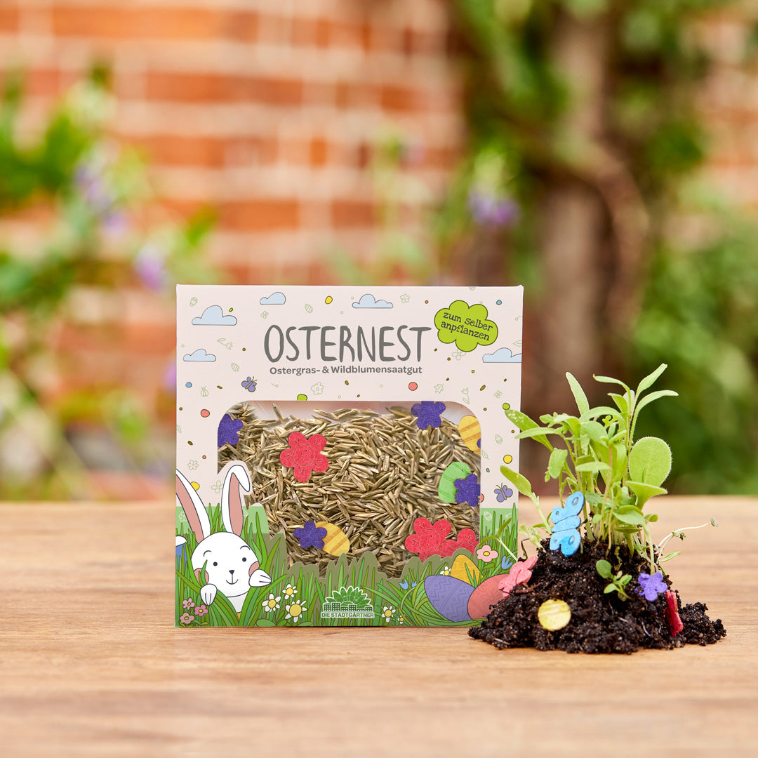 Ostergraskonfetti mit Saatpapier – Osternest zum Säen – Geschenkidee und Dekorationsansicht