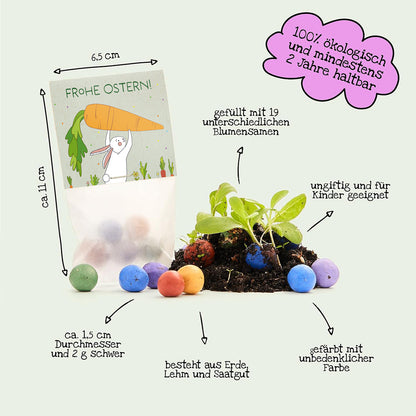 10 Ostergrüße Hase & Möhren – 50 Saatkugeln – Produktinformationen und Inhaltsangaben