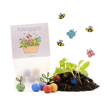 10 Frühlingsgrüße mit je 5 Wildblumen-Saatkugeln – Verpackung und Produkt im Freisteller