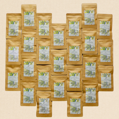 Tea sampler pack – moments of pleasure to discover