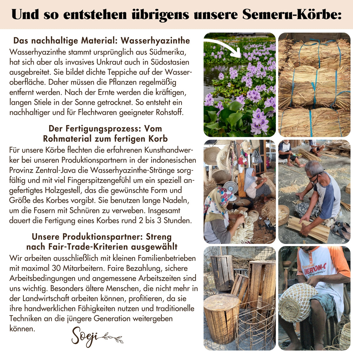 Wäschekorb SEMERU – Wasserhyazinthe