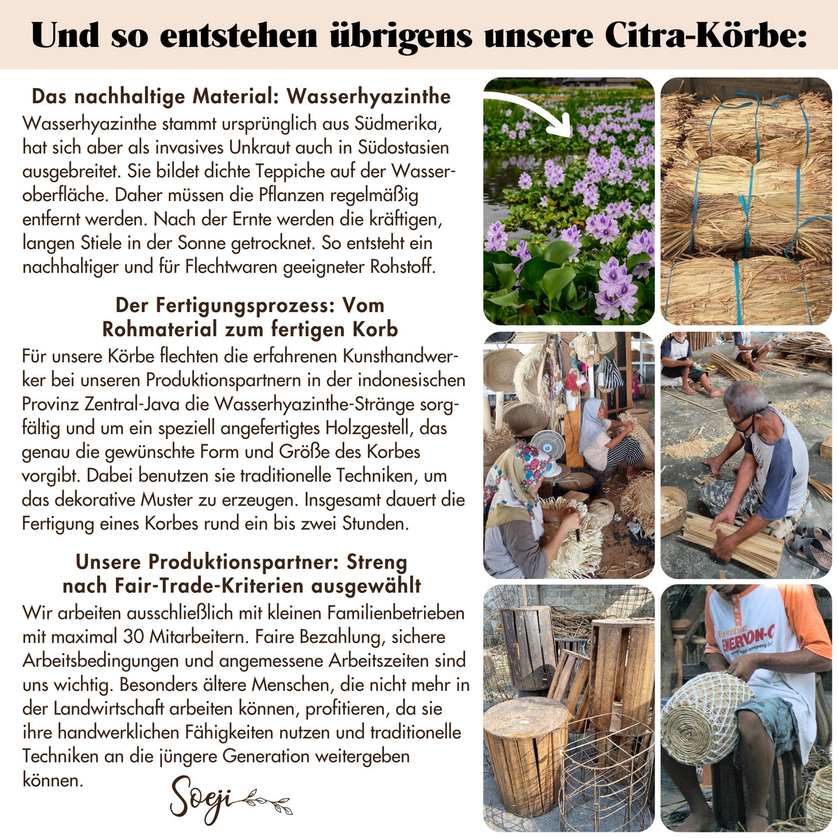 Wäschekorb CITRA – Wasserhyazinthe