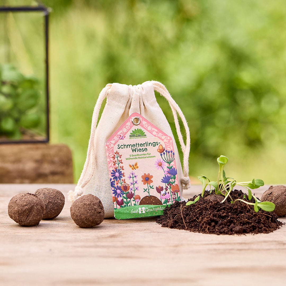 Saatkugeln „Schmetterlingswiese“ – Wildblumen für Schmetterlinge