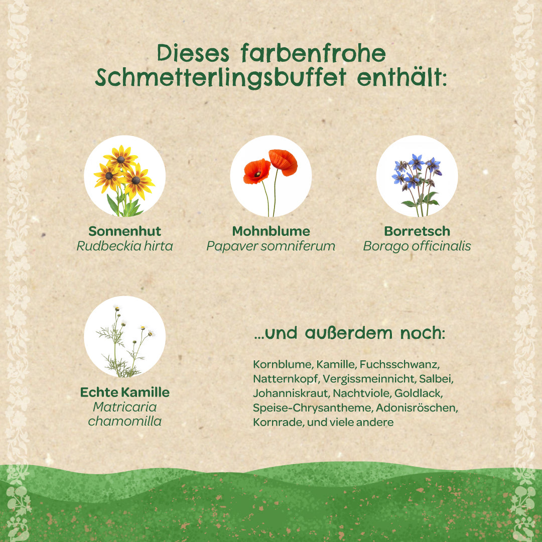 Saatkugeln „Schmetterlingswiese“ – Wildblumen für Schmetterlinge