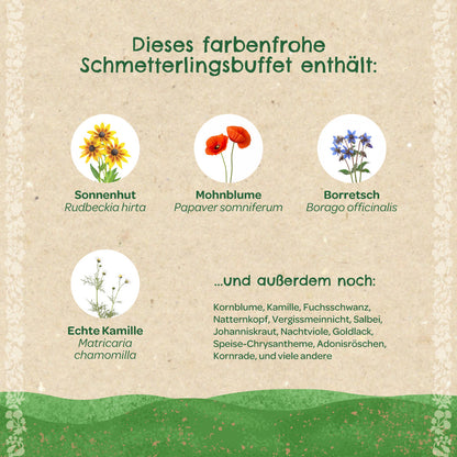 Saatkugeln „Schmetterlingswiese“ – Wildblumen für Schmetterlinge